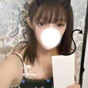 ヒメ日記 2025/09/03 20:34 投稿 いろは 桃李（とうり）