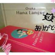 ヒメ日記 2025/09/23 22:44 投稿 いろは 桃李（とうり）