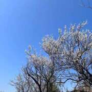 ヒメ日記 2025/03/02 13:59 投稿 しおり GlamourGlamour (グラマーグラマー)