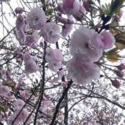 ヒメ日記 2025/04/11 16:53 投稿 しおり GlamourGlamour (グラマーグラマー)