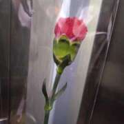 ヒメ日記 2025/05/11 12:39 投稿 しおり GlamourGlamour (グラマーグラマー)