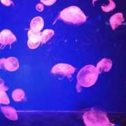 ヒメ日記 2025/05/30 10:31 投稿 しおり GlamourGlamour (グラマーグラマー)