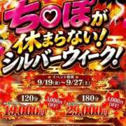 ヒメ日記 2026/09/16 07:47 投稿 すずか One More 奥様　五反田店
