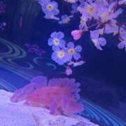 ヒメ日記 2025/03/10 18:19 投稿 まどか 鶯谷スピン