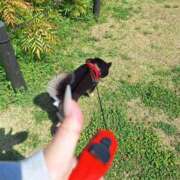 ヒメ日記 2025/04/21 12:12 投稿 まどか 鶯谷スピン