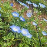 ヒメ日記 2025/04/29 01:19 投稿 まどか 鶯谷スピン