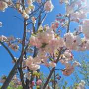 ヒメ日記 2025/05/09 02:29 投稿 まどか 鶯谷スピン