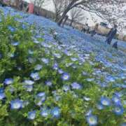 ヒメ日記 2025/05/11 17:19 投稿 まどか 鶯谷スピン