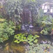 ヒメ日記 2025/05/12 18:29 投稿 まどか 鶯谷スピン