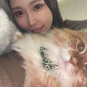 ヒメ日記 2024/12/11 19:15 投稿 SANA GINGIRA☆TOKYO～ギンギラ東京～