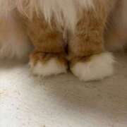 ヒメ日記 2025/03/05 18:24 投稿 SANA GINGIRA☆TOKYO～ギンギラ東京～