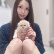 ヒメ日記 2025/03/19 18:35 投稿 SANA GINGIRA☆TOKYO～ギンギラ東京～