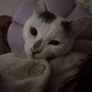 ヒメ日記 2025/01/19 00:23 投稿 高梨 BBW横浜店