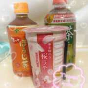 ヒメ日記 2025/03/04 17:31 投稿 高梨 BBW横浜店