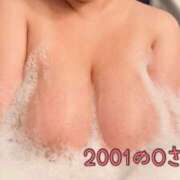 ヒメ日記 2025/03/31 19:29 投稿 高梨 BBW横浜店