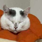 ヒメ日記 2025/04/10 11:43 投稿 高梨 BBW横浜店