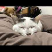 ヒメ日記 2025/04/24 15:16 投稿 高梨 BBW横浜店