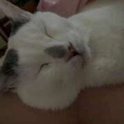 ヒメ日記 2025/06/02 23:20 投稿 高梨 BBW横浜店