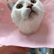 ヒメ日記 2025/06/25 13:49 投稿 高梨 BBW横浜店