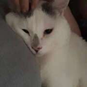 ヒメ日記 2025/06/27 14:07 投稿 高梨 BBW横浜店