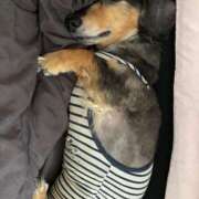 ヒメ日記 2025/07/25 11:31 投稿 高梨 BBW横浜店