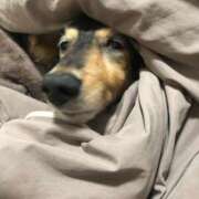 ヒメ日記 2025/08/21 09:00 投稿 高梨 BBW横浜店