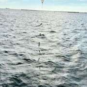 ヒメ日記 2025/09/16 15:09 投稿 高梨 BBW横浜店