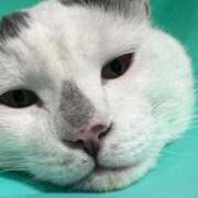 ヒメ日記 2025/10/28 08:07 投稿 高梨 BBW横浜店