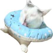 ヒメ日記 2025/10/29 11:38 投稿 高梨 BBW横浜店