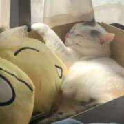 ヒメ日記 2025/10/31 12:15 投稿 高梨 BBW横浜店