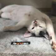 ヒメ日記 2025/11/05 12:18 投稿 高梨 BBW横浜店