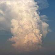 ヒメ日記 2025/11/13 15:44 投稿 高梨 BBW横浜店