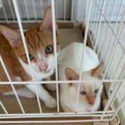 ヒメ日記 2025/11/14 15:47 投稿 高梨 BBW横浜店