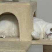 ヒメ日記 2025/11/20 13:44 投稿 高梨 BBW横浜店