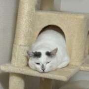 ヒメ日記 2025/11/28 16:54 投稿 高梨 BBW横浜店