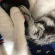 ヒメ日記 2025/11/29 23:06 投稿 高梨 BBW横浜店