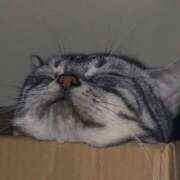 ヒメ日記 2025/11/29 23:10 投稿 高梨 BBW横浜店