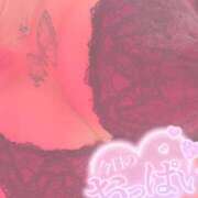 ヒメ日記 2025/03/26 01:14 投稿 KIA GINGIRA☆TOKYO～ギンギラ東京～