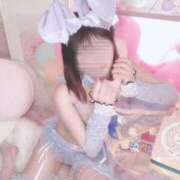 ヒメ日記 2025/04/22 11:34 投稿 ふわり ぐらどるえっぐ