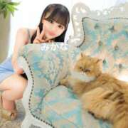 ヒメ日記 2025/01/22 17:23 投稿 みかな Versailles