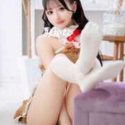 ヒメ日記 2025/03/19 10:11 投稿 みかな Versailles