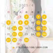 ヒメ日記 2025/03/19 19:24 投稿 みかな Versailles