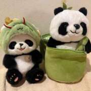 ヒメ日記 2025/04/15 16:19 投稿 みかな Versailles