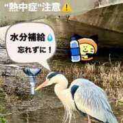 ヒメ日記 2025/05/16 01:51 投稿 たお 鹿児島ちゃんこ 天文館店