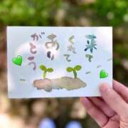 ヒメ日記 2025/05/19 23:51 投稿 たお 鹿児島ちゃんこ 天文館店