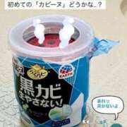 ヒメ日記 2025/05/20 16:51 投稿 たお 鹿児島ちゃんこ 天文館店