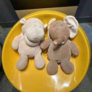 ヒメ日記 2025/07/22 22:51 投稿 たお 鹿児島ちゃんこ 天文館店