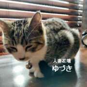 ヒメ日記 2024/12/13 11:12 投稿 ゆづき 那須塩原人妻花壇