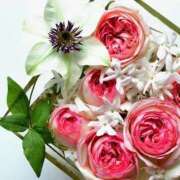 ヒメ日記 2024/12/13 13:42 投稿 ゆづき 那須塩原人妻花壇