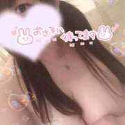 ヒメ日記 2024/12/11 12:03 投稿 あい 奥様なでしこ